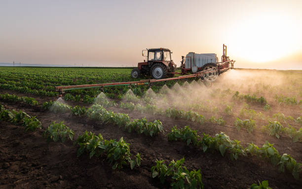 Best Pest Removal Services  in La Cygne, KS