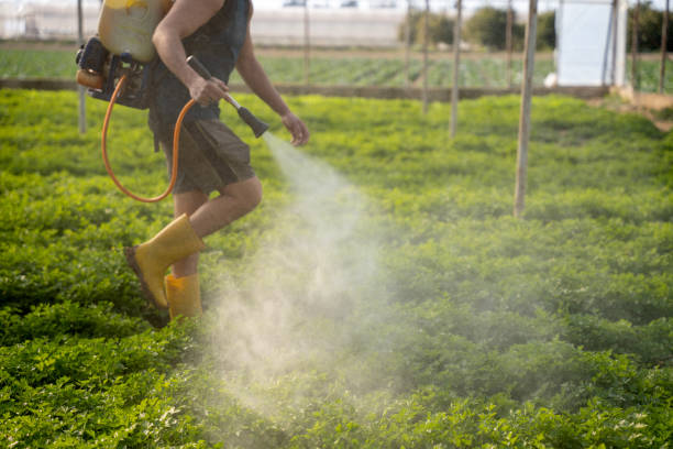 Best Mosquito Control Services  in La Cygne, KS