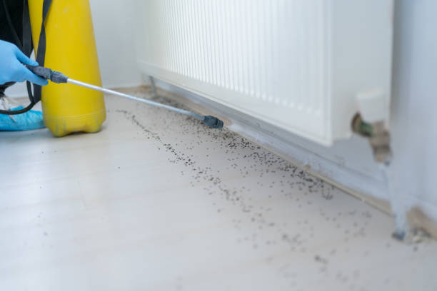 Best Cockroach Control Services  in La Cygne, KS